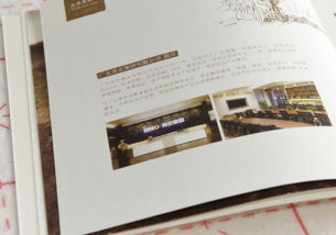 藝之光設計 以專業畫冊設計賦能食品企業品牌與招商